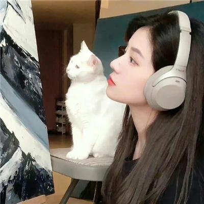 老友猩爷焦点图