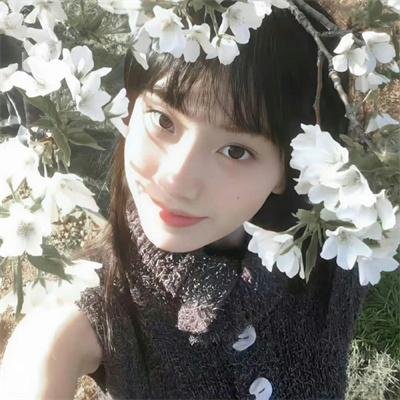津津井小姐封面